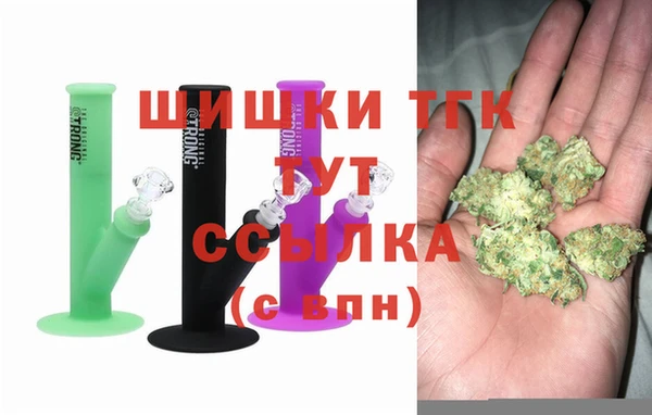 крисы Алзамай