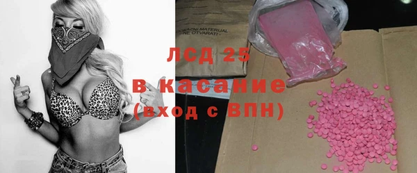 крисы Алзамай