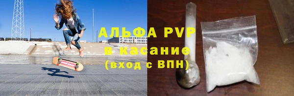 стаф Абаза