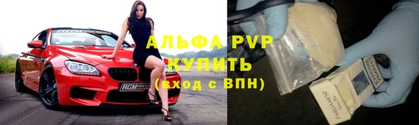 крисы Алзамай
