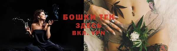 тгк Абинск