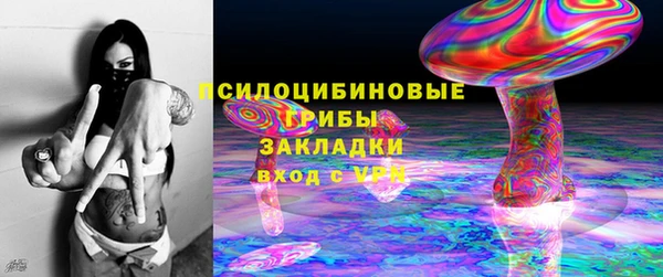 крисы Алзамай