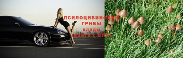 spice Остров