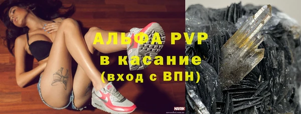 крисы Алзамай